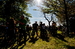 700_A012.jpg